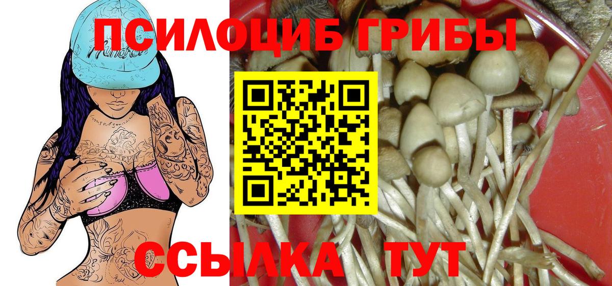 Всеволожск  Галлюциногенные грибы GOLDEN TEACHER  Вход с VPN 
